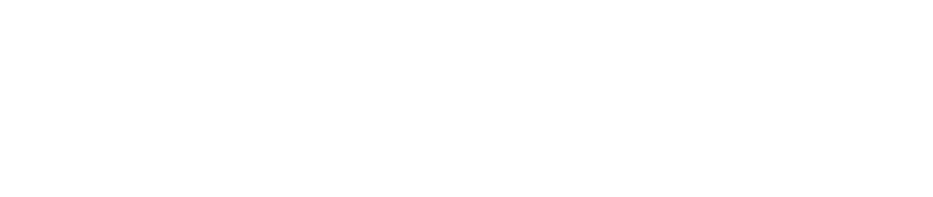 Sven Braun Executive Search